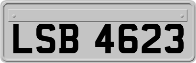LSB4623