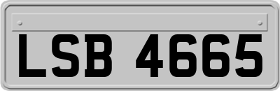 LSB4665