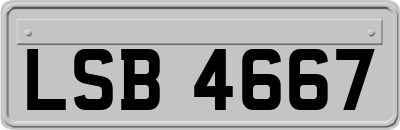 LSB4667