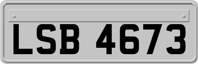 LSB4673