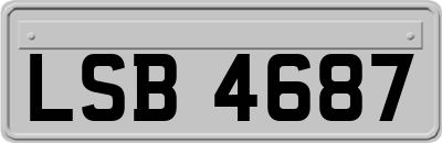 LSB4687