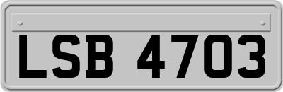 LSB4703