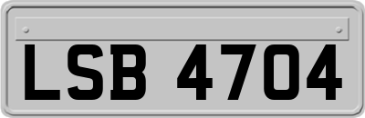 LSB4704