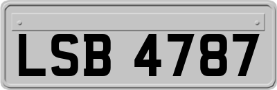 LSB4787