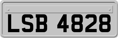 LSB4828