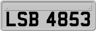 LSB4853
