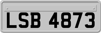 LSB4873