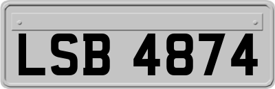 LSB4874