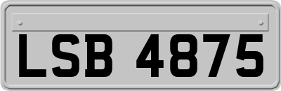 LSB4875