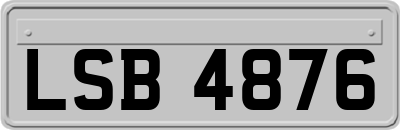LSB4876