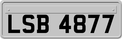 LSB4877
