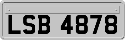 LSB4878