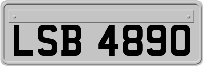 LSB4890