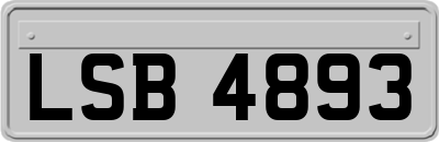 LSB4893