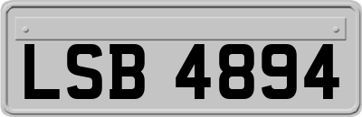 LSB4894