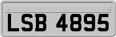 LSB4895