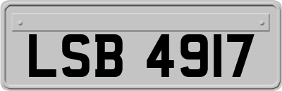 LSB4917
