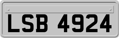 LSB4924