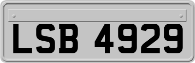 LSB4929