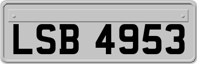 LSB4953