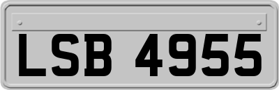 LSB4955