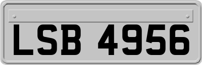 LSB4956