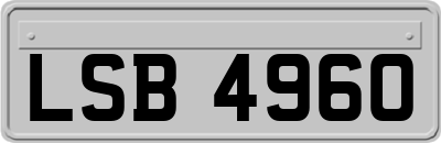 LSB4960