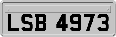 LSB4973