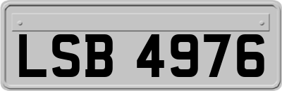 LSB4976