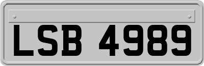LSB4989