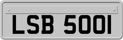 LSB5001