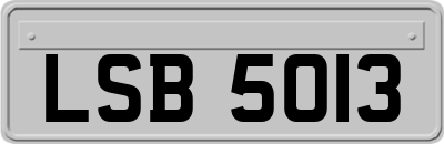 LSB5013