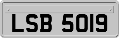 LSB5019