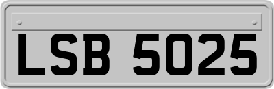 LSB5025
