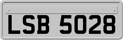 LSB5028
