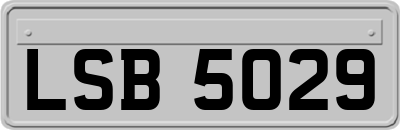 LSB5029