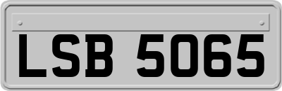 LSB5065