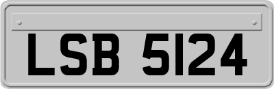 LSB5124