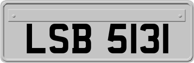 LSB5131