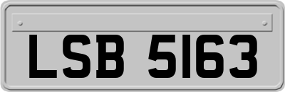LSB5163