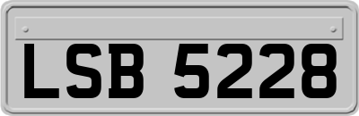 LSB5228