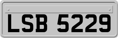 LSB5229