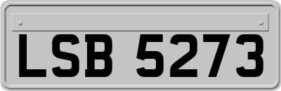 LSB5273