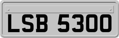 LSB5300