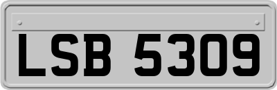 LSB5309