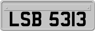 LSB5313