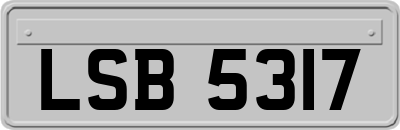 LSB5317