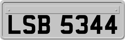 LSB5344