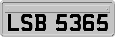 LSB5365