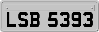 LSB5393